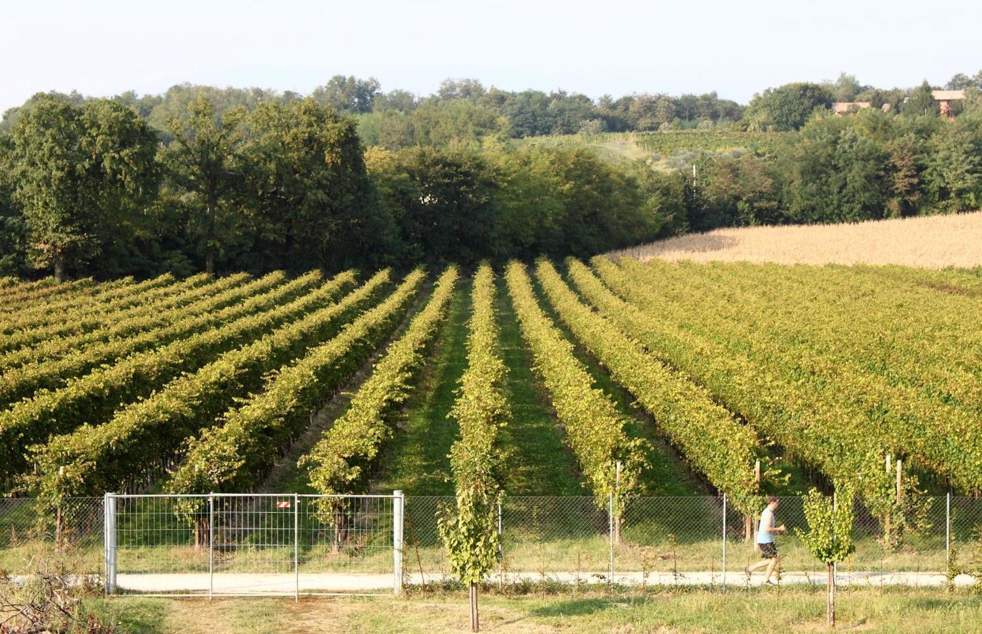 Caspineda Agriturismo مونتيبلونا المظهر الخارجي الصورة
