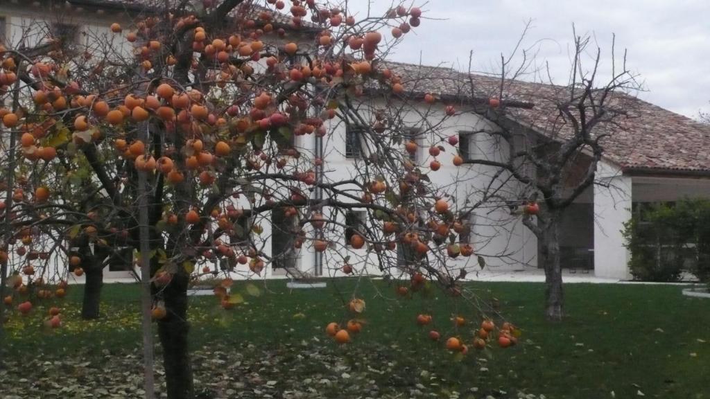 Caspineda Agriturismo مونتيبلونا المظهر الخارجي الصورة