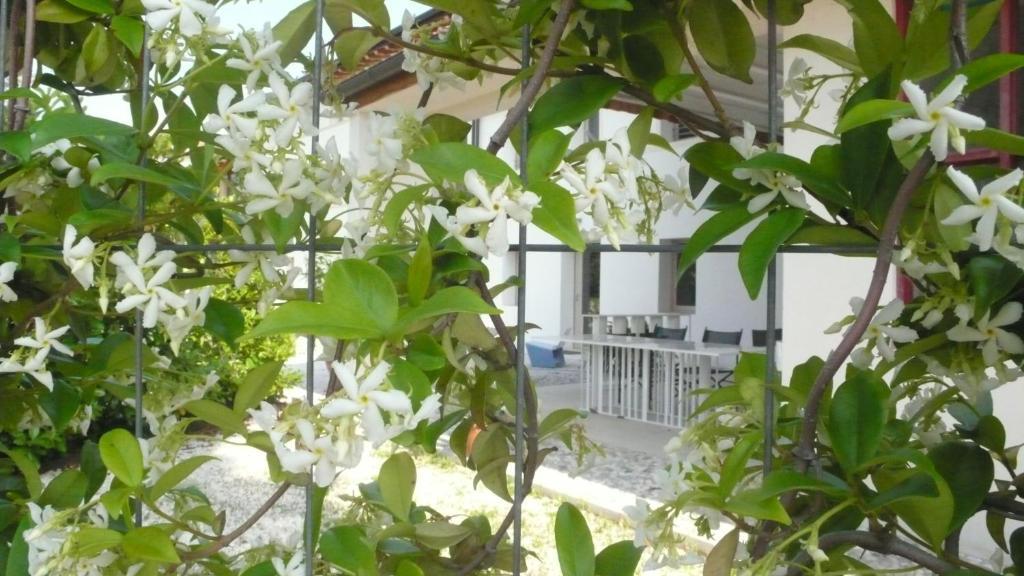 Caspineda Agriturismo مونتيبلونا المظهر الخارجي الصورة